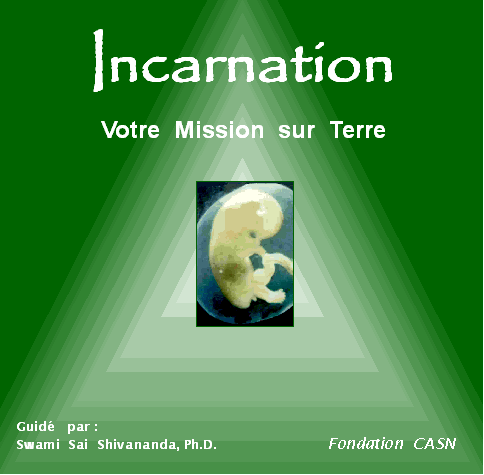 meditation incarnation