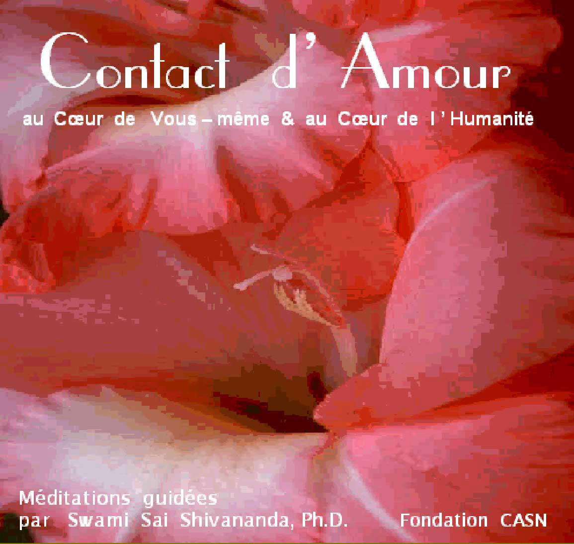contact  amour